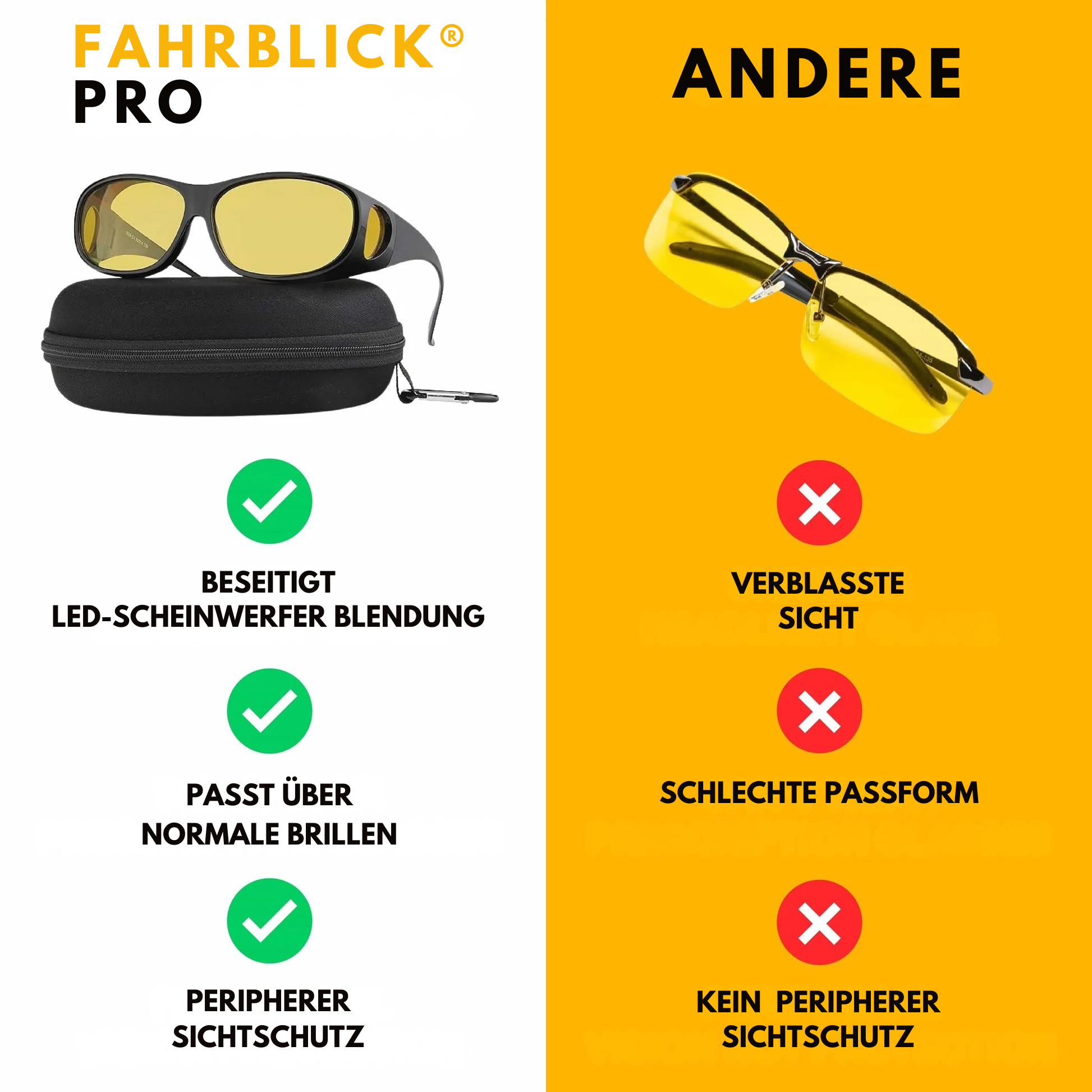 FahrBlick® Pro