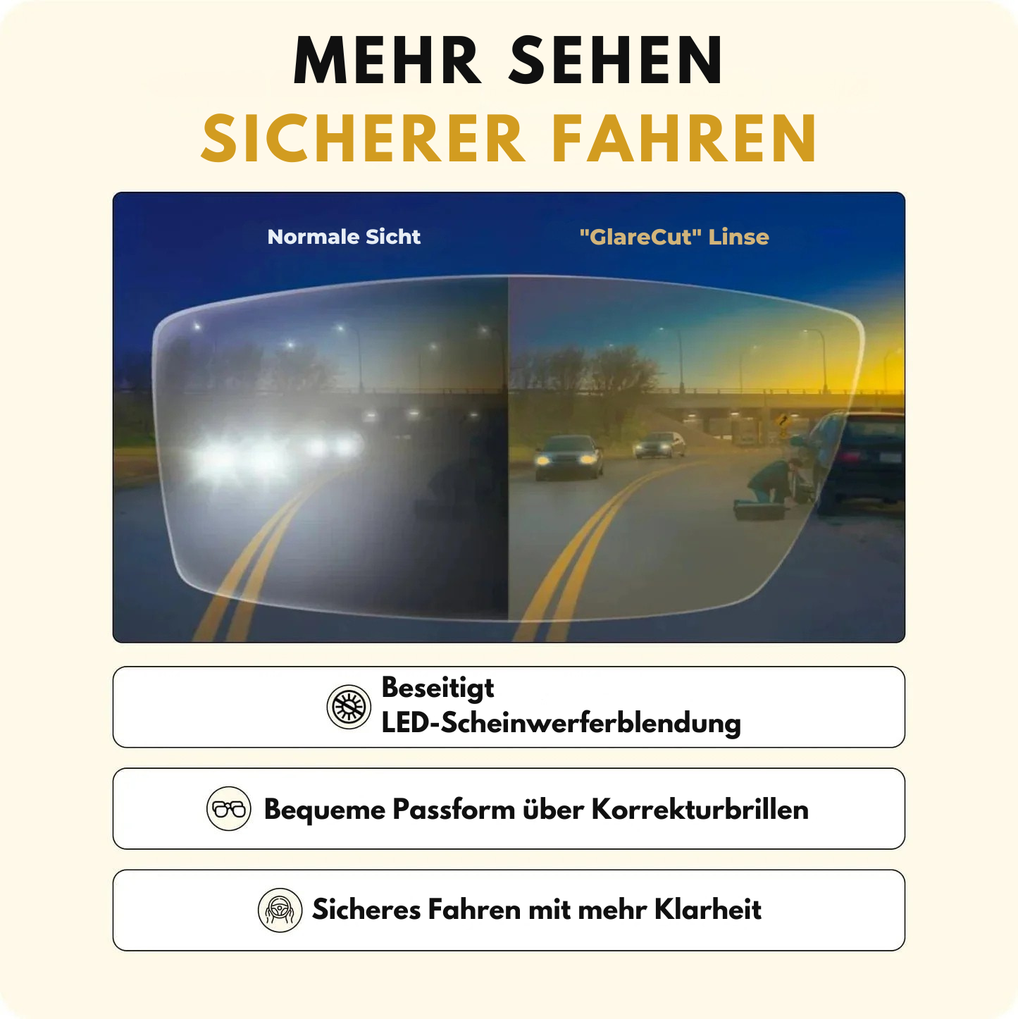 FahrBlick® Pro